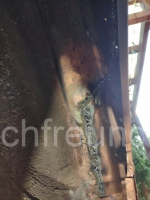 IMG_20191007_124907-BMW-E36-13