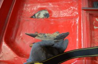 IMG_20160925_162243-311Coupe