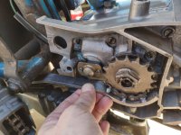 img_20210428_1259412374282404907956697