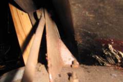 IMG_20200314_170855